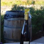 CambriaCN_0124 (November 05, 2016)